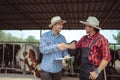 Farmer and worker shaking hands on the dairy farm,Agriculture industry, farming and animal husbandry concept ,Cow on dairy farm Royalty Free Stock Photo