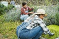 Farmer workers preparing seedlings in a box with soil inside vegetables farm - Healthy food concept - Main focus on latin woman Royalty Free Stock Photo