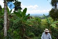 Farmer working on coffe field in Colombia Royalty Free Stock Photo