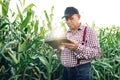 Farmer working in a cornfield, inspecting and tuning irrigation center pivot sprinkler system on tablet. Working in Royalty Free Stock Photo