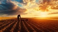 Farmer working field at sunset Royalty Free Stock Photo