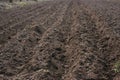 Farmer working in field Royalty Free Stock Photo