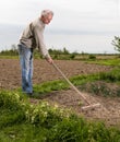 Farmer working in the garden Royalty Free Stock Photo