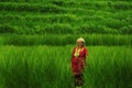 Farmer working