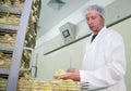 Farmer working in incubator Royalty Free Stock Photo