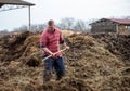 Farmer working with natural manure on farm Royalty Free Stock Photo