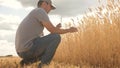 Farmer working with tablet computer on wheat field. agricultural business. businessman analyzing grain harvest Royalty Free Stock Photo