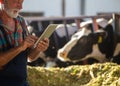 Farmer working on tablet on dairy farm Royalty Free Stock Photo