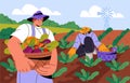 Farmers at agriculture works. Rural workers picking crops. Gardeners collecting vegetables at farm field. Person holds