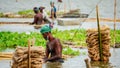 Farmers in Bangladesh are busy washing jute in water. Jute washing scene in rural Bengal. Jute is called gold fiber