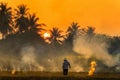 Farmers burn rice fields in rice causing PM2.5 dust. The farmers burning rice stubble in the field, causing smoke