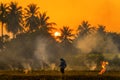 Farmers burn rice fields in rice causing PM2.5 dust. The farmers burning rice stubble in the field, causing smoke. Kanchanaburi,