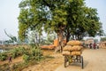 Farmers carry bags on their bicycles at a village Sasaram