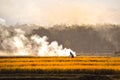 Farmers carry rice harvested in the villages in java