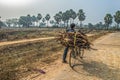 Farmers carry wooden stff on bicycles at a village Sasaram