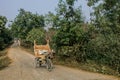 Farmers carry wooden stff on their bicycles at a village