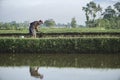 Farmers digging and cultivating the soil