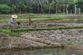 Farmers are digging the soil Royalty Free Stock Photo