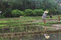 Farmers are digging the soil Royalty Free Stock Photo