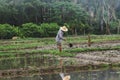 Farmers are digging the soil Royalty Free Stock Photo