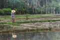 Farmers are digging the soil Royalty Free Stock Photo