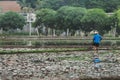 Farmers are digging the soil