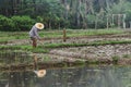 Farmers are digging the soil Royalty Free Stock Photo