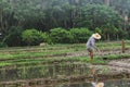 Farmers are digging the soil Royalty Free Stock Photo