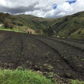 Farmers in the Ecuadorian highlands