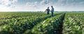 The farmers engaging in a productive discussion amidst vibrant crop fields. AI generated image Royalty Free Stock Photo