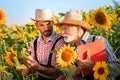 Farmers examine sunflower plant Royalty Free Stock Photo