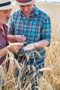 Portrait of Farmers examining wheat grains in field