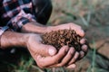 Farmers' expert hands check soil health before planting vegetable seeds or seedlings. Business idea or ecology