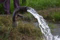 Farmers feet, irrigated in wheat fields by water jet, technical irrigation