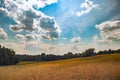 Farmers field with golden growing crops 2 Royalty Free Stock Photo