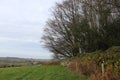 Farmers field wall view