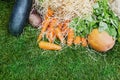 Farmers food market place, organic vegetables Royalty Free Stock Photo