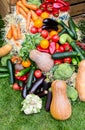 Farmers food market place, organic vegetables Royalty Free Stock Photo