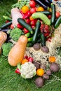 Farmers food market place, organic vegetables Royalty Free Stock Photo