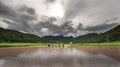 Farmers growing the rice under cloudy sky