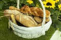 Farmers hand holding a basket with seasonal products, wooden basket full with autumnal products, agricultural and forest also