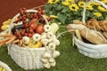 Farmers hand holding a basket with seasonal products, wooden basket full with autumnal products, agricultural and forest also