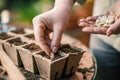 Farmers hand planting seed into seedling tray Royalty Free Stock Photo