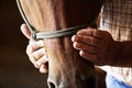 Farmers hands on horse Royalty Free Stock Photo