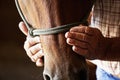 Farmers hands on horse