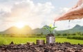 Farmers` hands are watering trees on top of coins stacked on a blurred natural background. Royalty Free Stock Photo