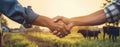 Farmers Handshake Against Backdrop Of Unfocused Agriculture With Cows, Closeup Panoramic Banner