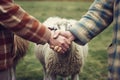 Farmers Handshake Against Backdrop Of Unfocused Farm With Sheep, Closeup. Generative AI
