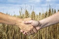 Farmers handshake over the wheat crop