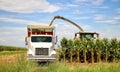 Farmers Harvest Corn Royalty Free Stock Photo